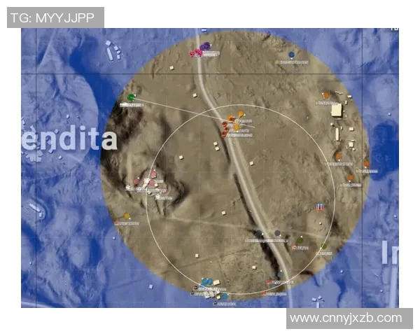 LNG在精英赛中的战术表现分析与总结探讨