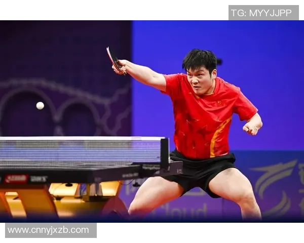 乒乓球速度实力排行榜权威发布揭示顶尖选手竞技状态与技术水平