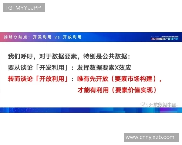 南京极限运动队运营分析：成功经验与挑战反思的全面探讨