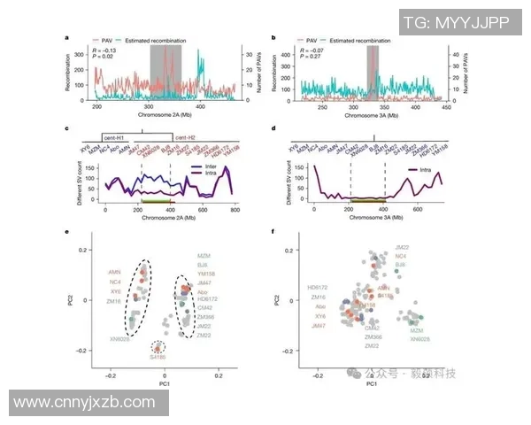 数据分析揭示WE在不同场景下的速度表现与优化潜力探索