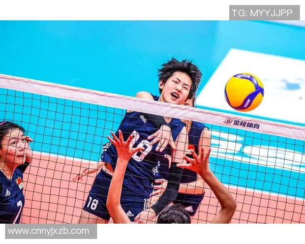 杭州排球队的辉煌之路精英赛特别报道展现突破与成长